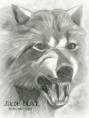 /album/twilight/wolf-drawing-1-2-jpg/